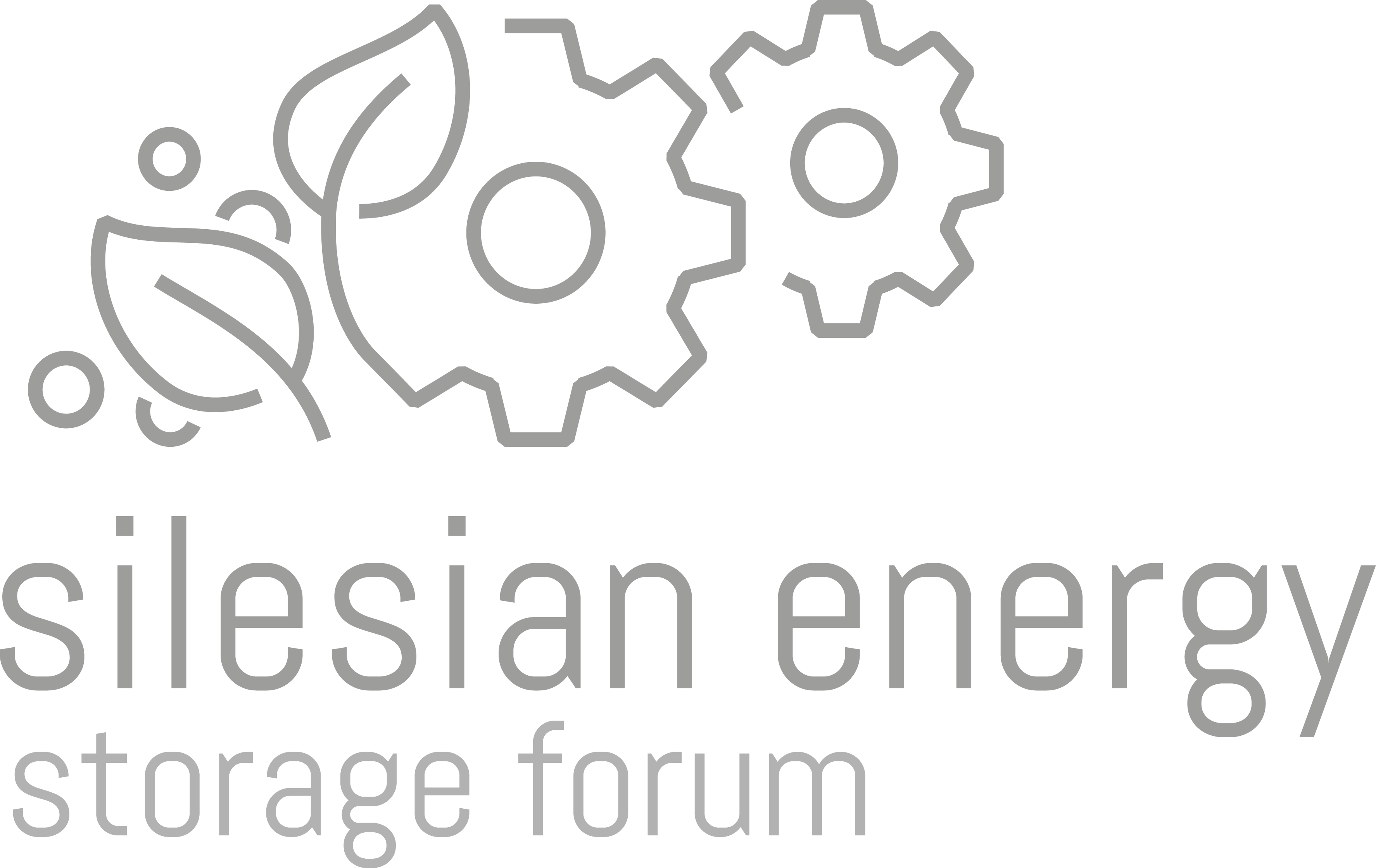 About The Congress Silesian Energy Storage Forum
